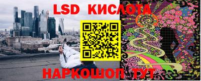 индика Боровичи