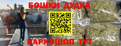 индика Боровичи