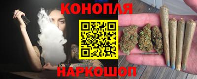 индика Боровичи
