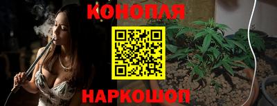 прущие крисы Бердск