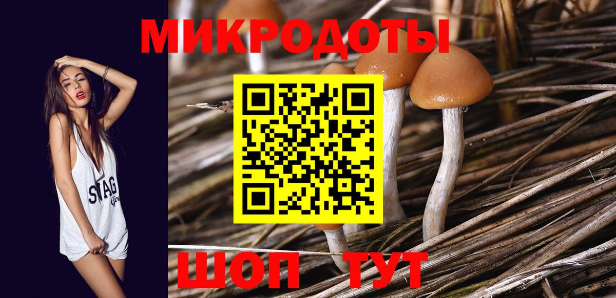 Галлюциногенные грибы ЛСД Ачхой-Мартан
